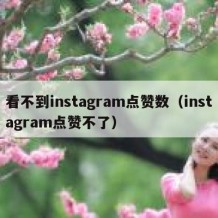 看不到instagram点赞数（instagram点赞不了）