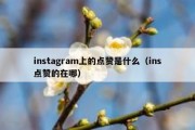 instagram上的点赞是什么（ins点赞的在哪）