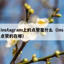 instagram上的点赞是什么（ins点赞的在哪）