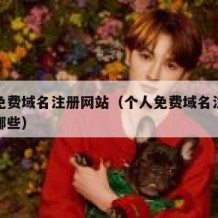 个人免费域名注册网站（个人免费域名注册网站有哪些）