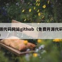 开源代码网站github（免费开源代码网站）