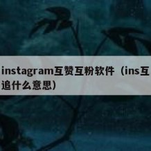 instagram互赞互粉软件（ins互追什么意思）