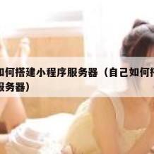 自己如何搭建小程序服务器（自己如何搭建小程序服务器）