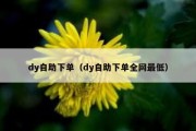 dy自助下单（dy自助下单全网最低）