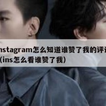 instagram怎么知道谁赞了我的评论（ins怎么看谁赞了我）