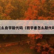 怎么自学敲代码（初学者怎么敲代码）