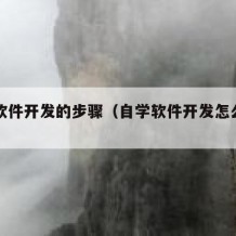 自学软件开发的步骤（自学软件开发怎么入门）