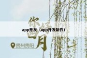 app开发（app开发制作）