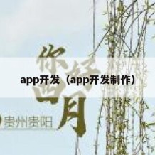 app开发（app开发制作）