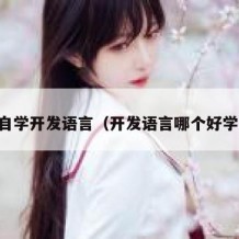 自学开发语言（开发语言哪个好学）