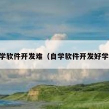 自学软件开发难（自学软件开发好学吗）
