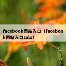 facebook网站入口（facebook网站入口zalo）