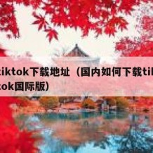 tiktok下载地址（国内如何下载tiktok国际版）