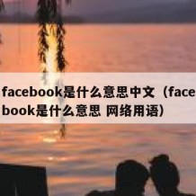 facebook是什么意思中文（facebook是什么意思 网络用语）