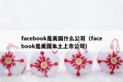 facebook是美国什么公司（facebook是美国本土上市公司）