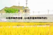 小程序制作流程（小程序是如何制作的）