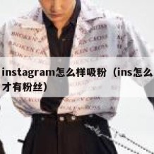 instagram怎么样吸粉（ins怎么才有粉丝）