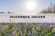 tiktok中文叫什么（tiktok中文）