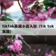 tiktok英国小店入驻（tik tok英国）