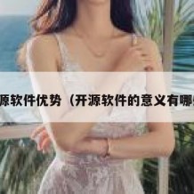 开源软件优势（开源软件的意义有哪些）