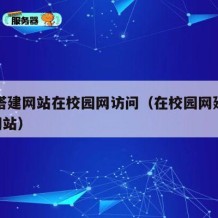 如何搭建网站在校园网访问（在校园网建立www网站）