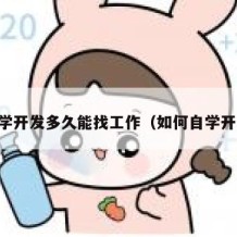 自学开发多久能找工作（如何自学开发）