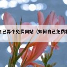 如何自己弄个免费网站（如何自己免费制作网站）