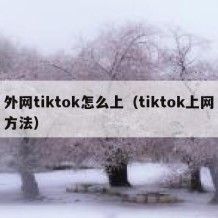 外网tiktok怎么上（tiktok上网方法）