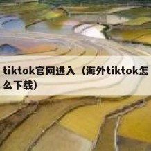 tiktok官网进入（海外tiktok怎么下载）