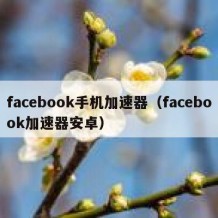 facebook手机加速器（facebook加速器安卓）