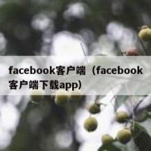 facebook客户端（facebook客户端下载app）