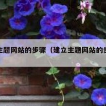 建立主题网站的步骤（建立主题网站的步骤是）