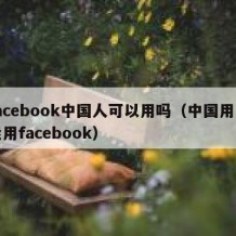 facebook中国人可以用吗（中国用户能用facebook）