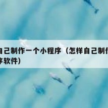 怎样自己制作一个小程序（怎样自己制作一个小程序软件）