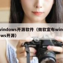 windows开源软件（微软宣布windows开源）