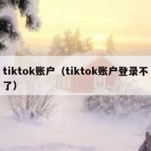 tiktok账户（tiktok账户登录不了）