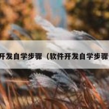 软件开发自学步骤（软件开发自学步骤包括）