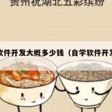 自学软件开发大概多少钱（自学软件开发好学吗）