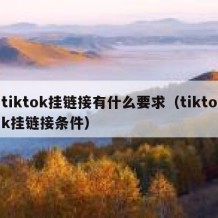 tiktok挂链接有什么要求（tiktok挂链接条件）