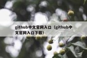 github中文官网入口（github中文官网入口下载）