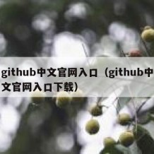 github中文官网入口（github中文官网入口下载）