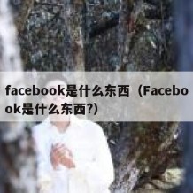 facebook是什么东西（Facebook是什么东西?）