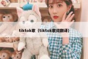 tiktok歌（tiktok歌词翻译）