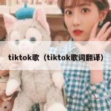 tiktok歌（tiktok歌词翻译）