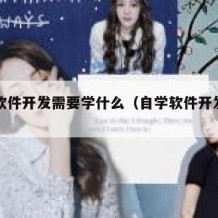 自学软件开发需要学什么（自学软件开发哪些书籍）