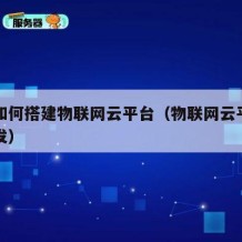 自己如何搭建物联网云平台（物联网云平台实战开发）