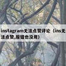 instagram无法点赞评论（ins无法点赞,报错也没用）