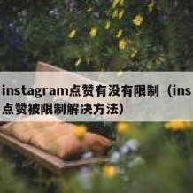 instagram点赞有没有限制（ins点赞被限制解决方法）