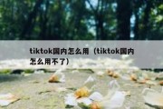 tiktok国内怎么用（tiktok国内怎么用不了）