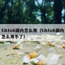 tiktok国内怎么用（tiktok国内怎么用不了）